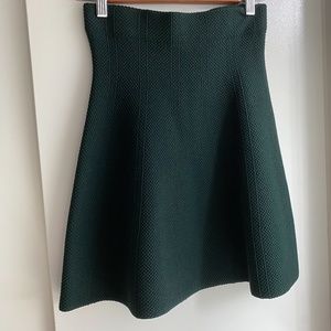 Zara Skater Skirt